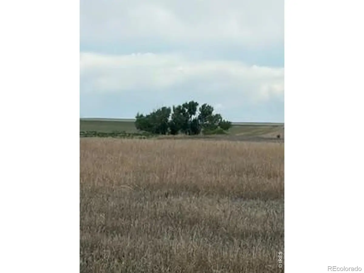 Peoria Crossing Road, Bennett, CO 80102 - #1