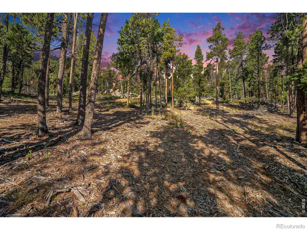 231 Granite Drive, Drake, CO 80515