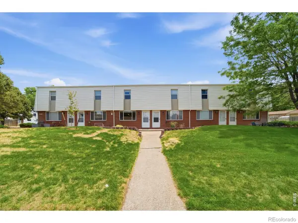 707 E 3rd Street #3, Windsor, CO 80550