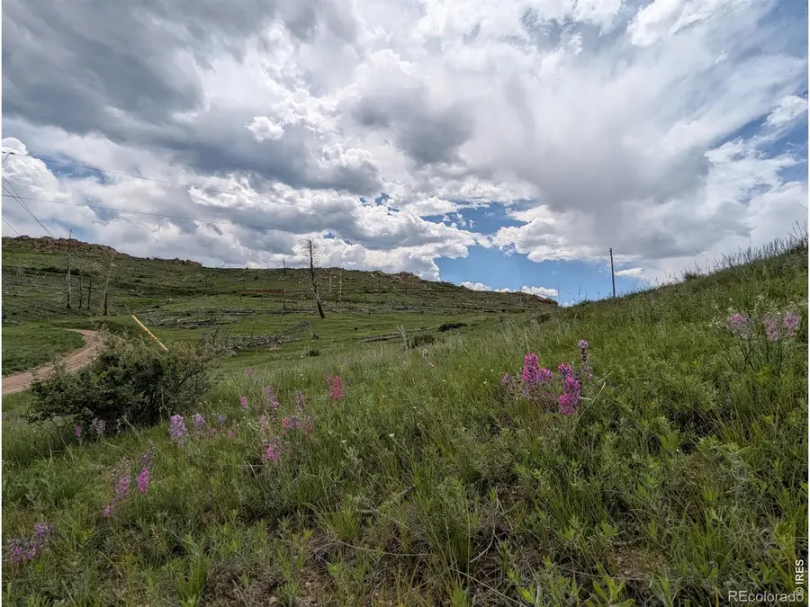 598 Mount Mcconnell Drive, Livermore, CO 80536 - #3