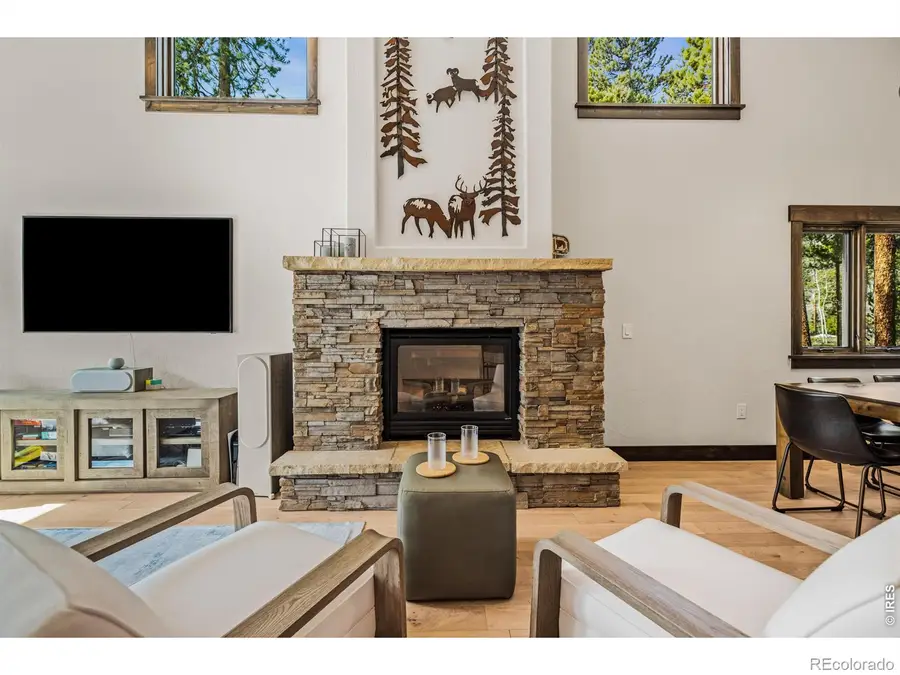 147 Lupine Lane, Frisco, CO 80443 - #3