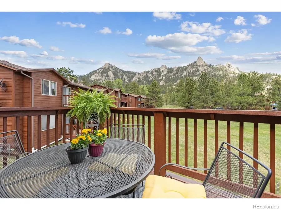 503 Fall River Lane #D, Estes Park, CO 80517 - #3