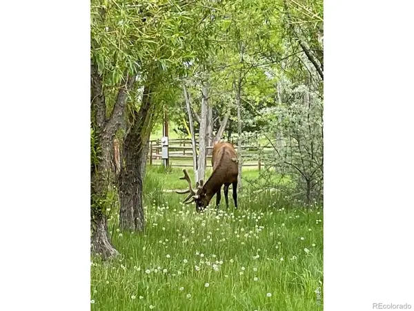 435 Willowrock Drive, Loveland, CO 80537
