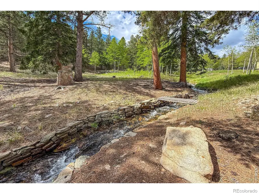412 Highway 7 Business, Allenspark, CO 80510 - #3