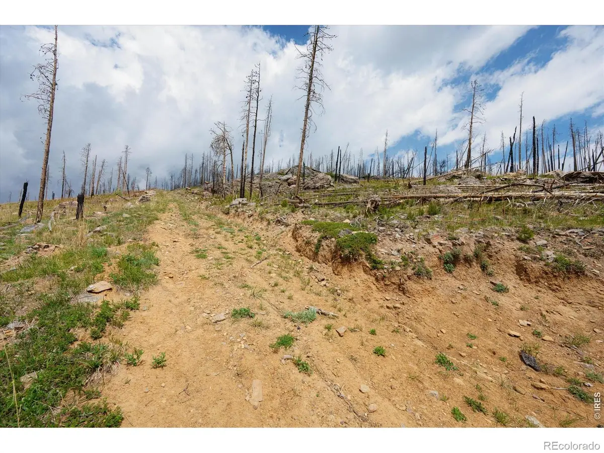30 Sheep Horn Court, Bellvue, CO 80512 - #1