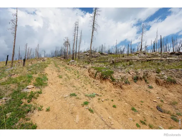 30 Sheep Horn Court, Bellvue, CO 80512