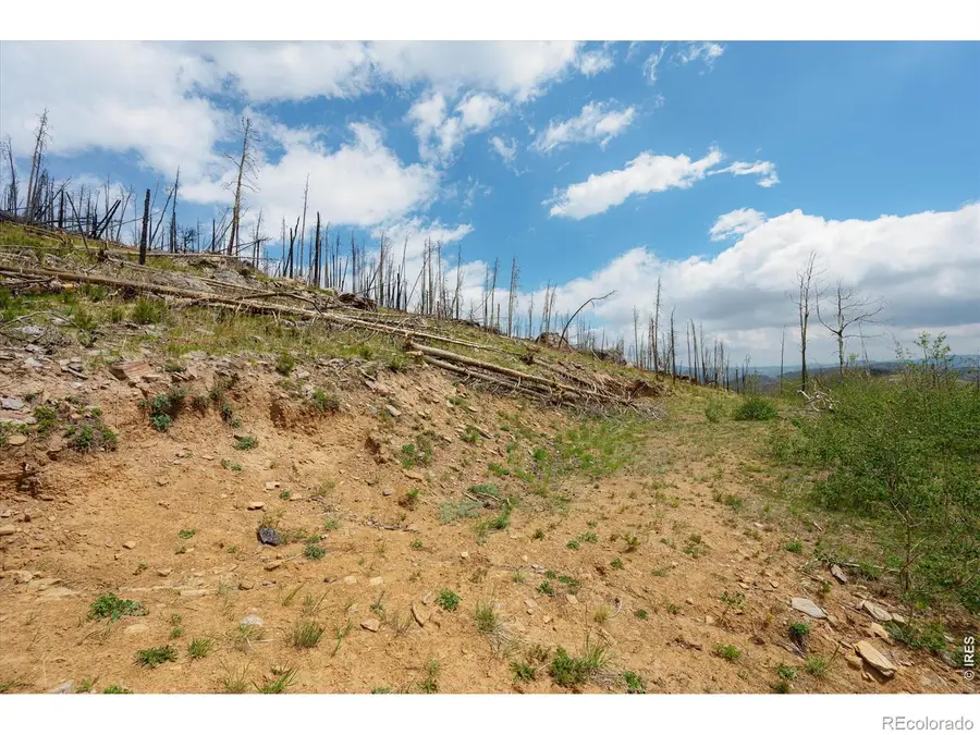 30 Sheep Horn Court, Bellvue, CO 80512 - #2