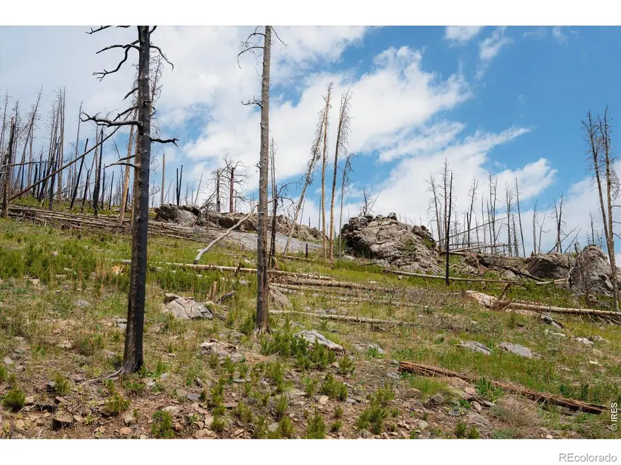 30 Sheep Horn Court, Bellvue, CO 80512 - #3