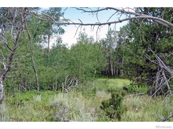 Wilderness Ranch Road, , CO 82070