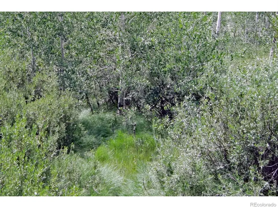 Wilderness Ranch Road, Livermore, CO 82070 - #2