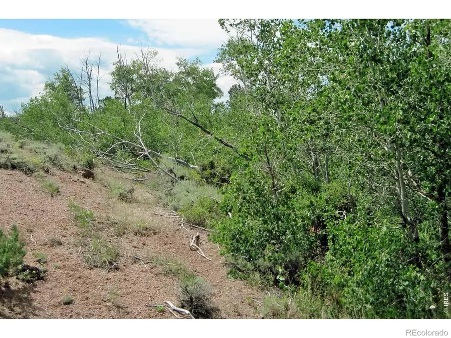 Wilderness Ranch Road, Livermore, CO 82070 - #3