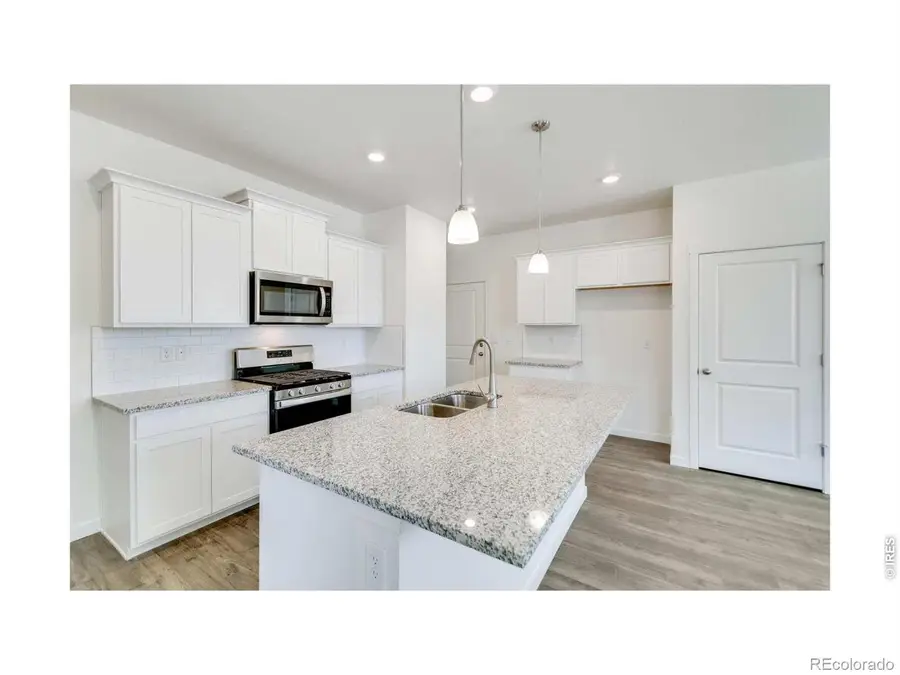 1002 Annelles Pool Lane, Severance, CO 80550 - #2