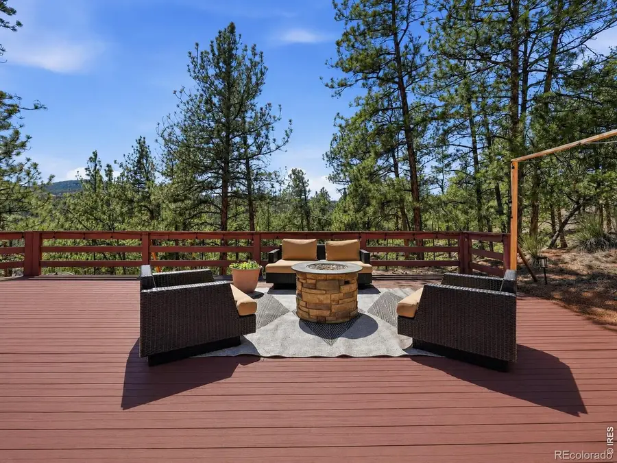 16687 Ouray Road W, Pine, CO 80470 - #3