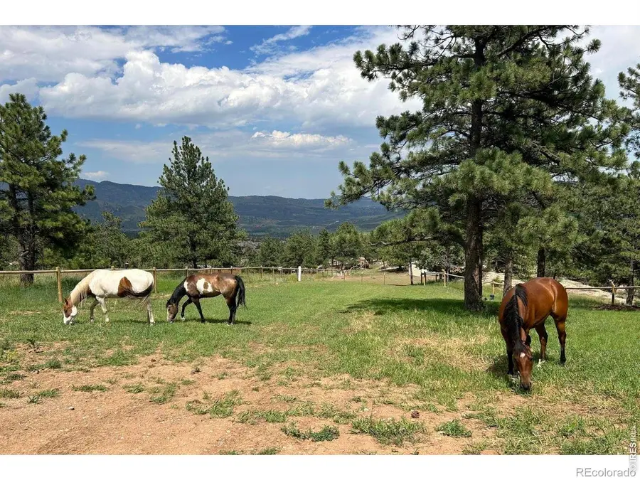 1893 Colard Lane, Lyons, CO 80540 - #2