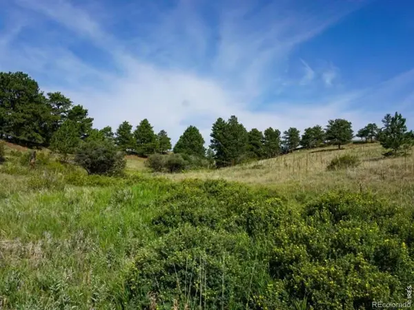 0 Stub Court, Livermore, CO 80536