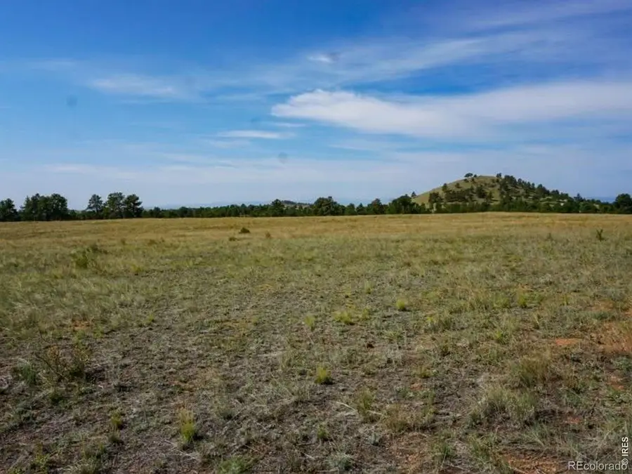 0 Stub Court, Livermore, CO 80536 - #2