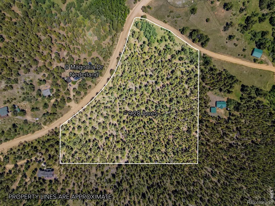 0 Magnolia Drive, Nederland, CO 80466 - #2