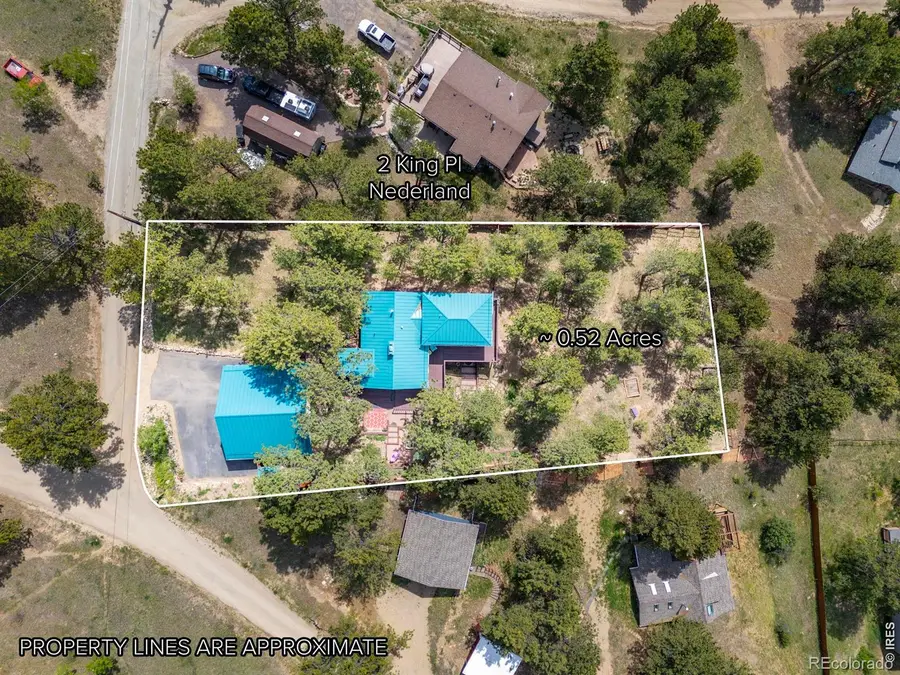 2 King Place, Nederland, CO 80466 - #3