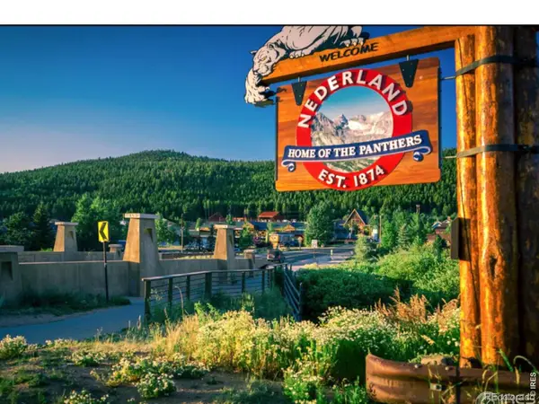 250 Eldora Road, Nederland, CO 80466