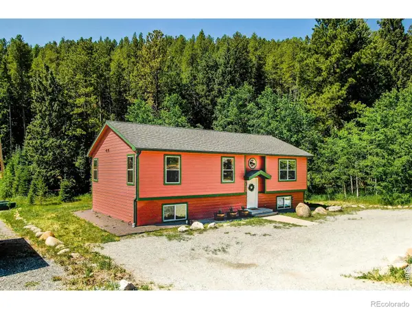 788 W 4th Street, Nederland, CO 80466