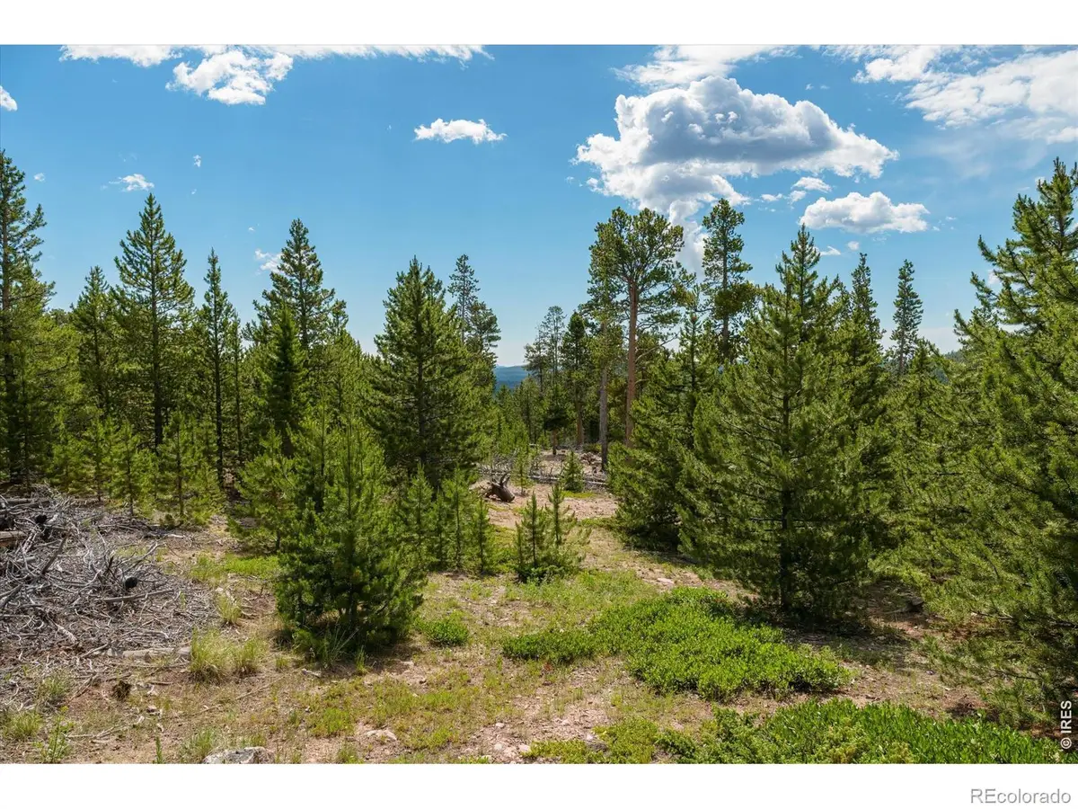 410 Pearl Creek Road, Red Feather Lakes, CO 80545 - #1