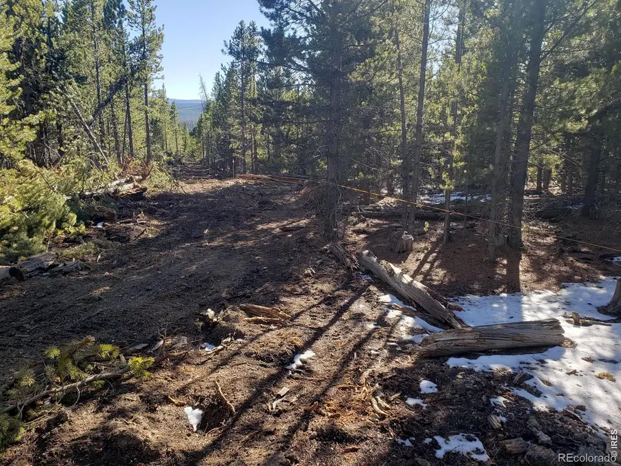 0 Forest Service 169 Lot #10 Road, Red Feather Lakes, CO 80545 - #2