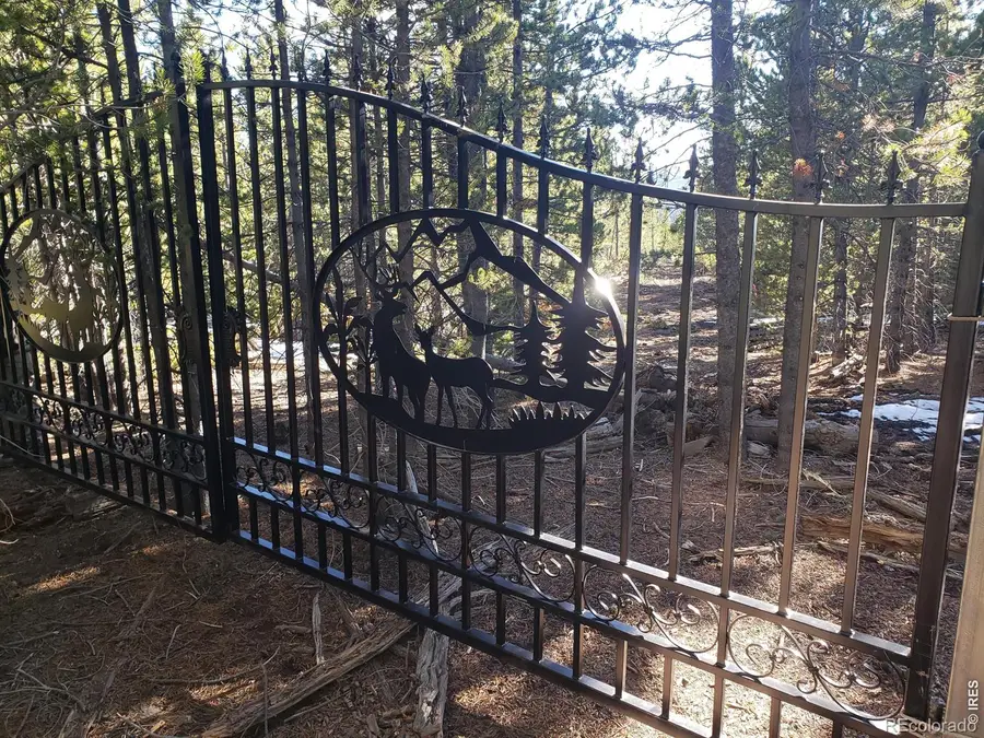 0 Forest Service 169 Lot #10 Road, Red Feather Lakes, CO 80545 - #3