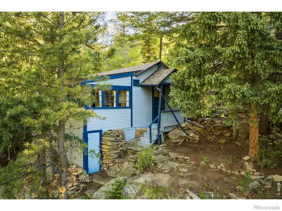 10763 Twin Spruce Road, Golden, CO 80403 - #3