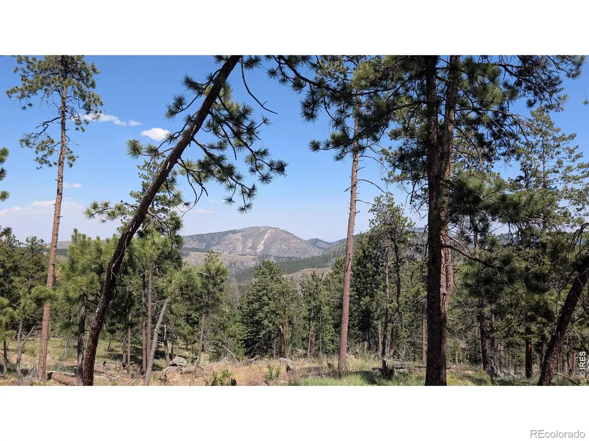0 Old Camp Road, Bellvue, CO 80512 - #1