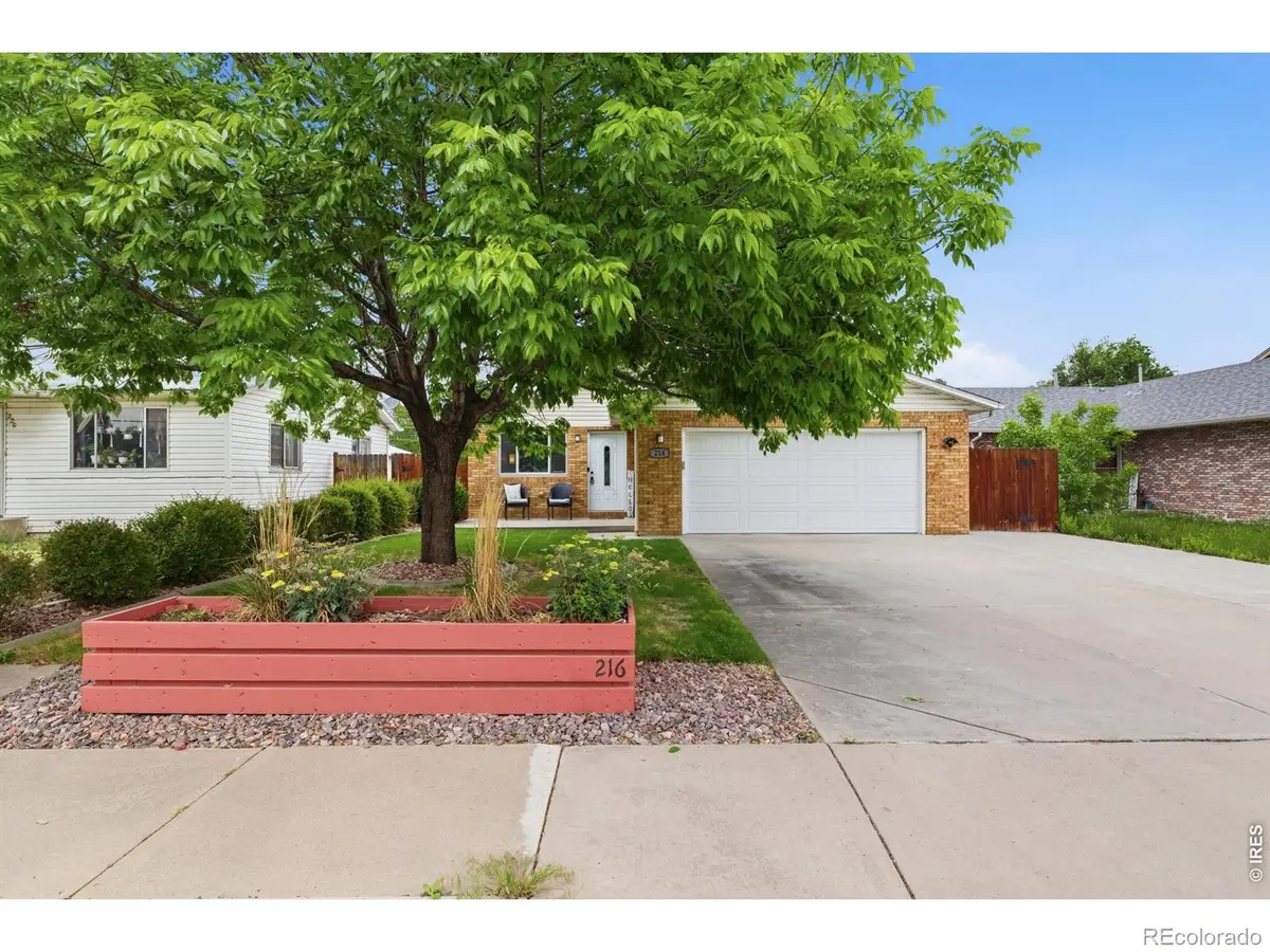 216 Chestnut Street, Windsor, CO 80550 - #1