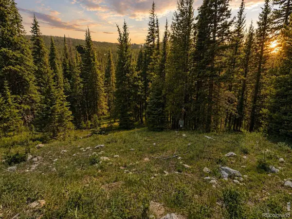 3894 Fourth Of July Road, Nederland, CO 80466