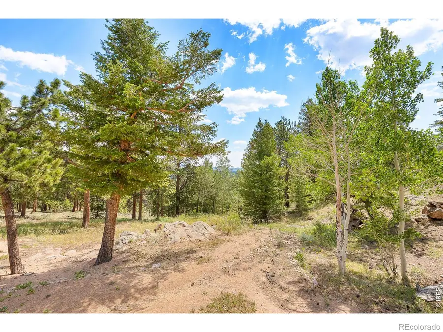 107 Miami Court, Red Feather Lakes, CO 80545 - #3