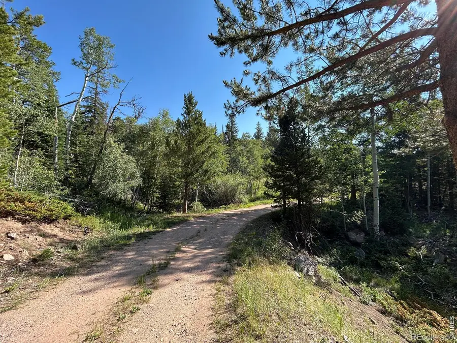 506 Elkridge Road, Red Feather Lakes, CO 80545 - #2