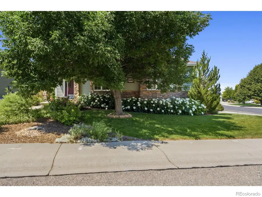 8493 Castaway Drive, Windsor, CO 80528 - #2