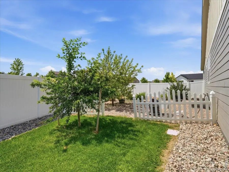 1229 Argali Drive, Severance, CO 80550 - #3