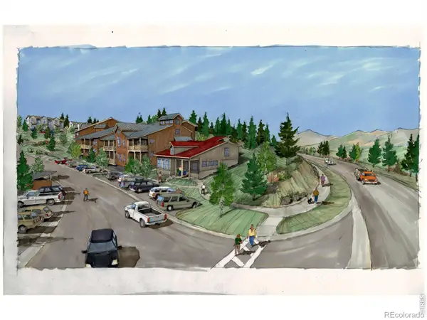 250 Eldora Road, Nederland, CO 80466