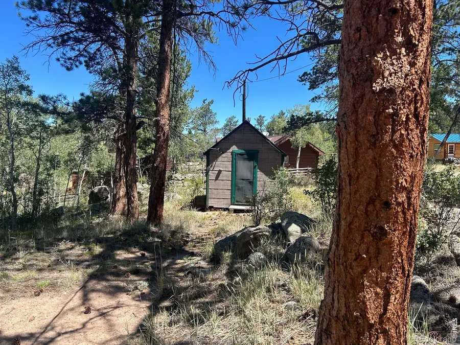 745 Nokomis Road, Red Feather Lakes, CO 80545 - #3