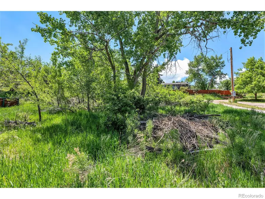 4804 Foothills Drive, Fort Collins, CO 80526 - #3