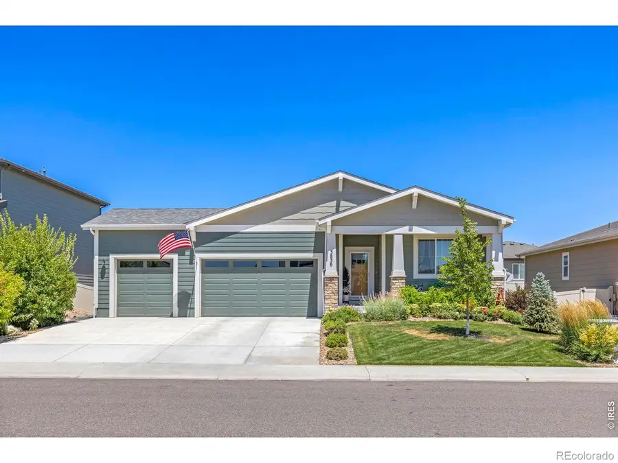 3836 Sweetgum Street, Wellington, CO 80549 - #2