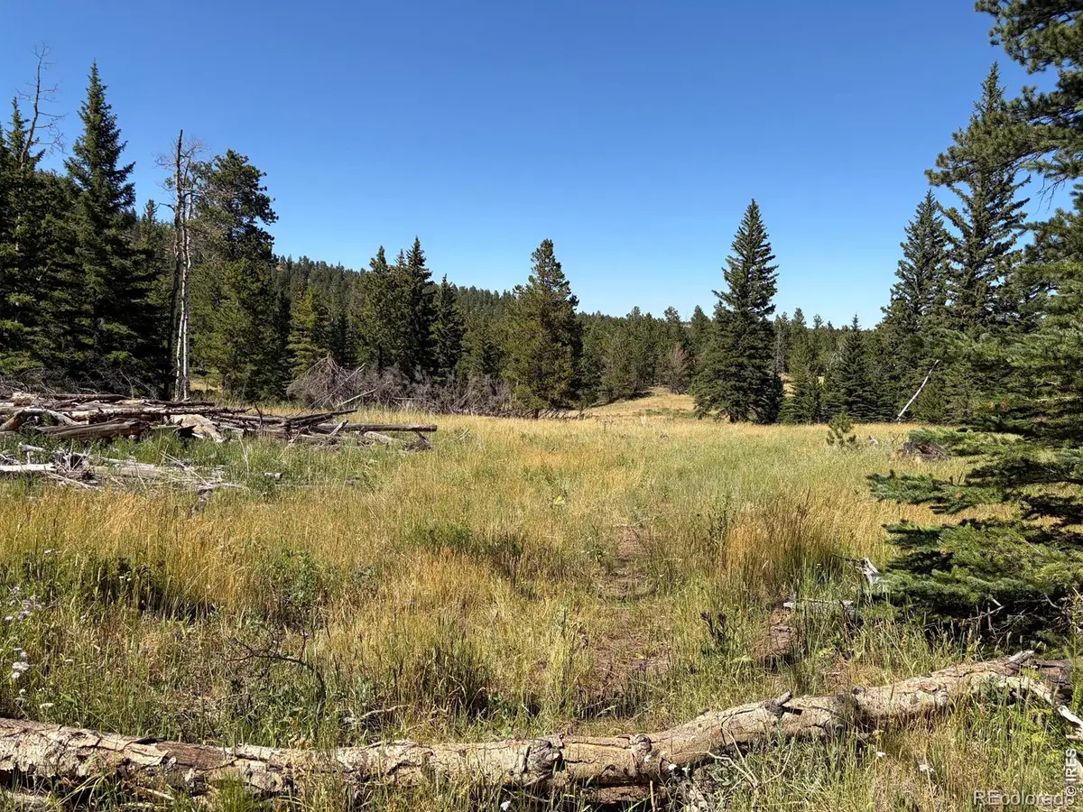 Pratt Creek Road, Livermore, CO 80536 - #1