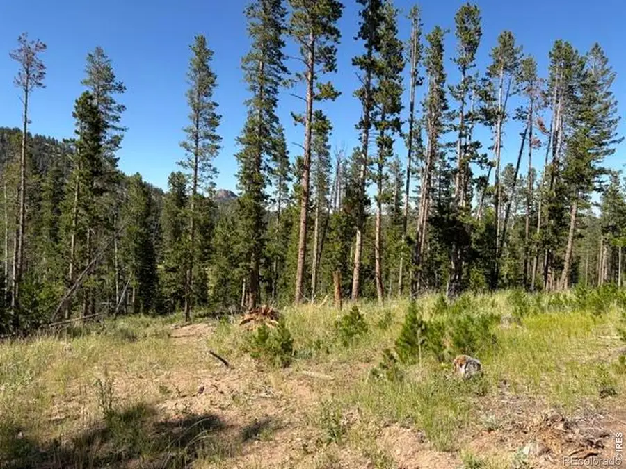 Pratt Creek Road, Livermore, CO 80536 - #3
