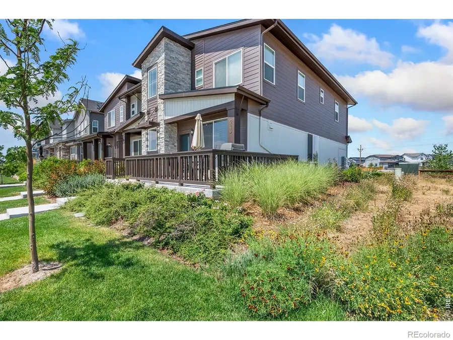 5560 Second Avenue, Timnath, CO 80547 - #3