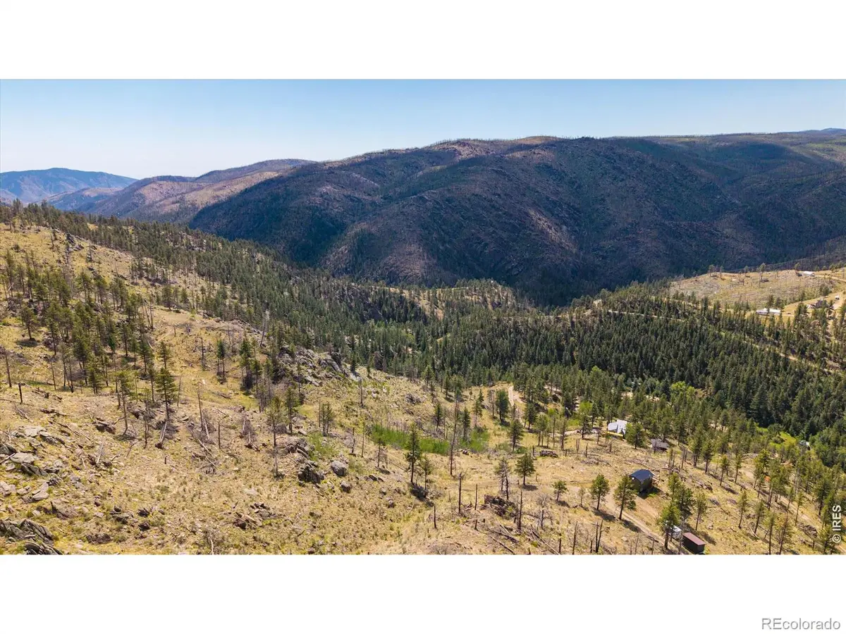 693 Cougar Drive, Bellvue, CO 80512 - #1