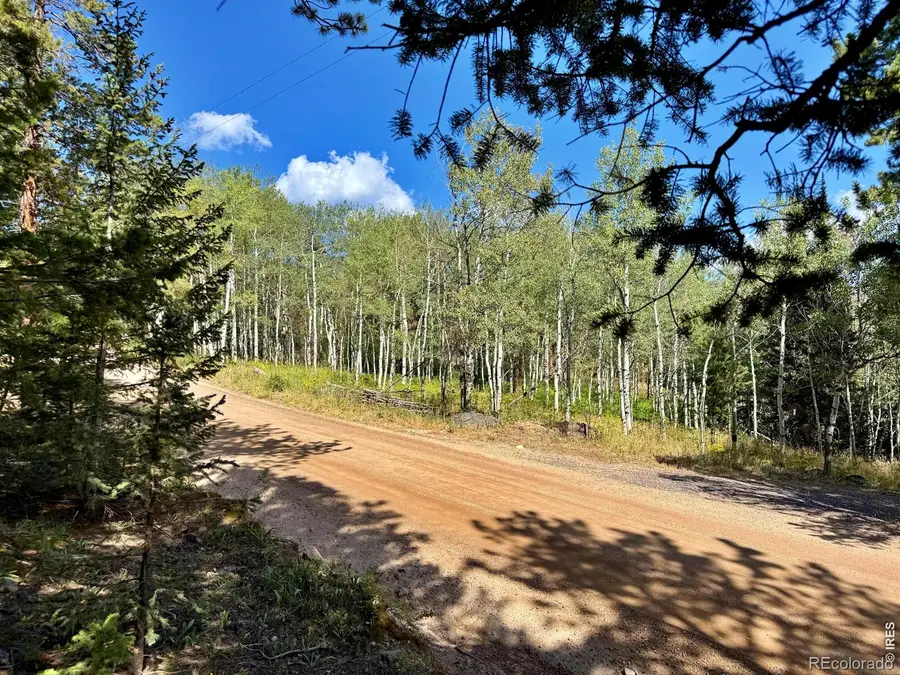 312 Ridge Road, Ward, CO 80481 - #3