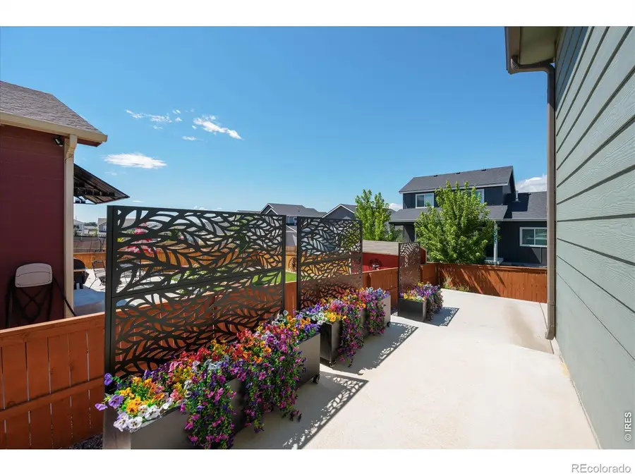 1087 Long Meadows Street, Severance, CO 80550 - #3