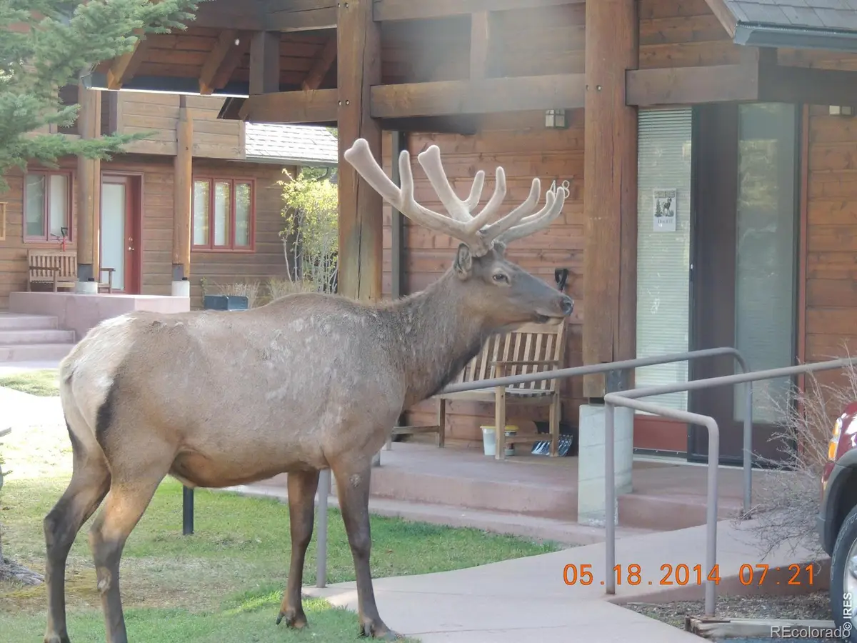 1565 Highway 66 #49, Estes Park, CO 80517 - #1