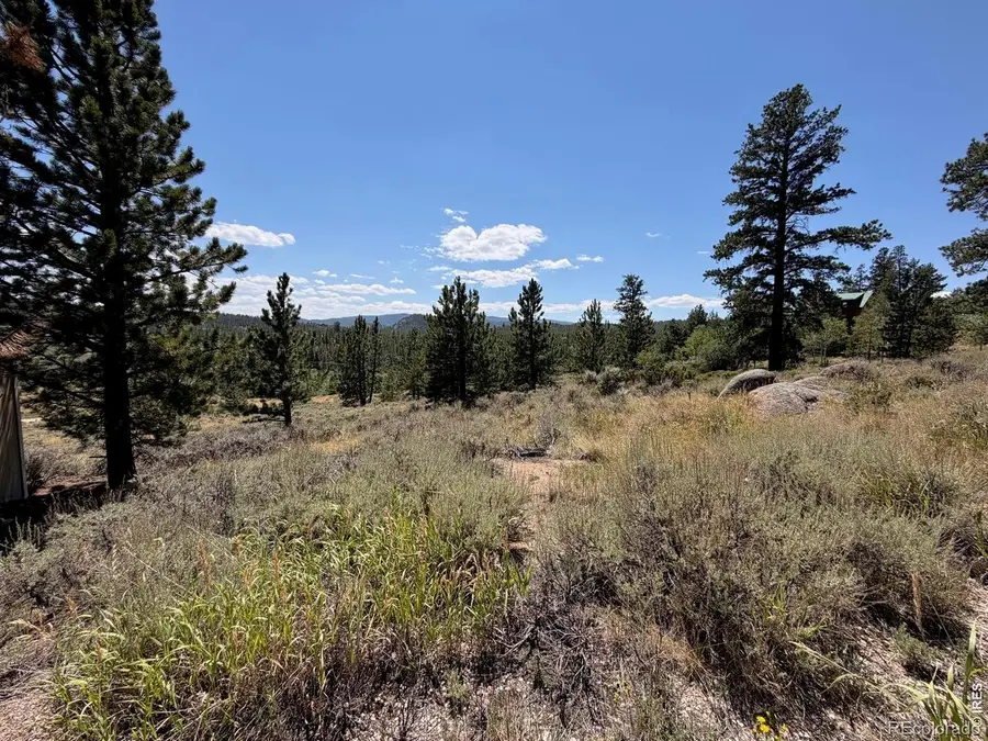 6920 Ottawa Way, Red Feather Lakes, CO 80545 - #3