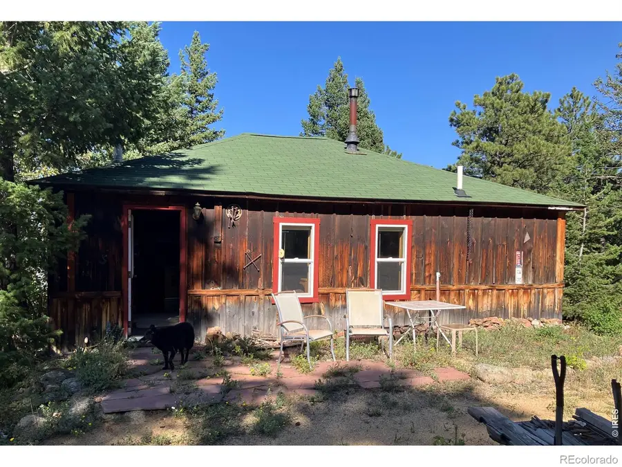2926 Magnolia Drive, Nederland, CO 80466 - #3