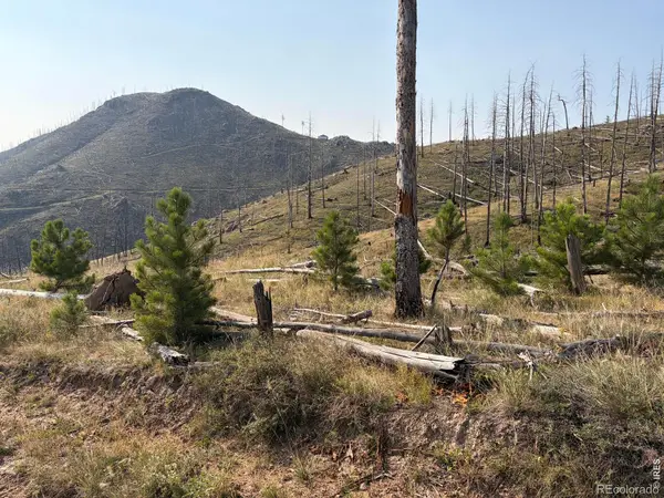 0 Pine Acres Road, Bellvue, CO 80512