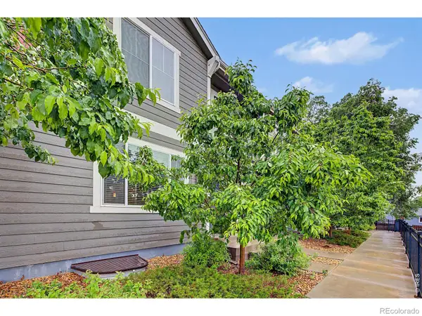 3502 Big Ben Drive #D, Fort Collins, CO 80526
